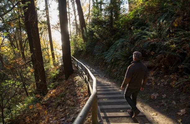 Cómo afrontar las transiciones de la vida de manera sana y eficaz